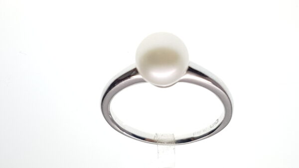 Anello Donna CT 115