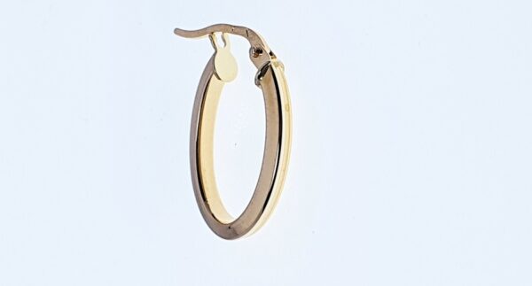 Orecchini a Cerchio EG 056