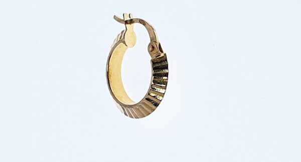 Orecchini a Cerchio EG 070