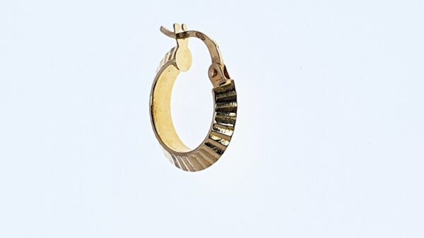 Orecchini a Cerchio EG 070