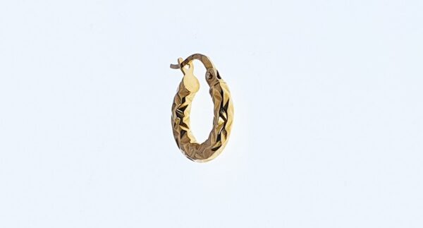 Orecchini a Cerchio EG 078