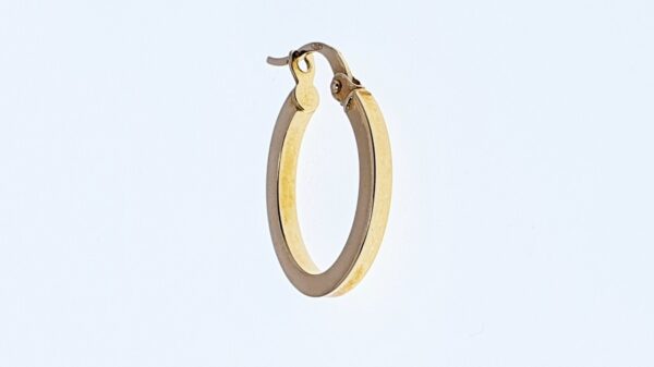 Orecchini a Cerchio EG 089