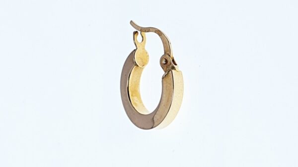 Orecchini a Cerchio EG 155