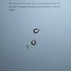 Orecchini a Cerchio EG 155 - immagine 4