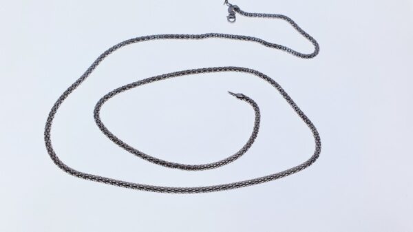Laccio P 002 - immagine 2