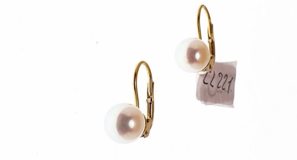 Orecchino Donna CL 221