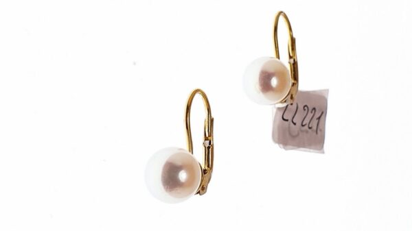 Orecchino Donna CL 221