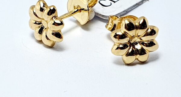 Orecchino Donna CL 257
