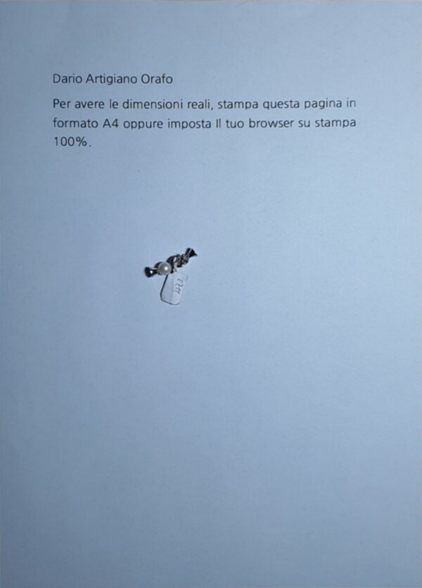 Susta / Chiusura Ez 011 - immagine 4