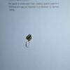 Susta / Chiusura Ez 030 - immagine 4