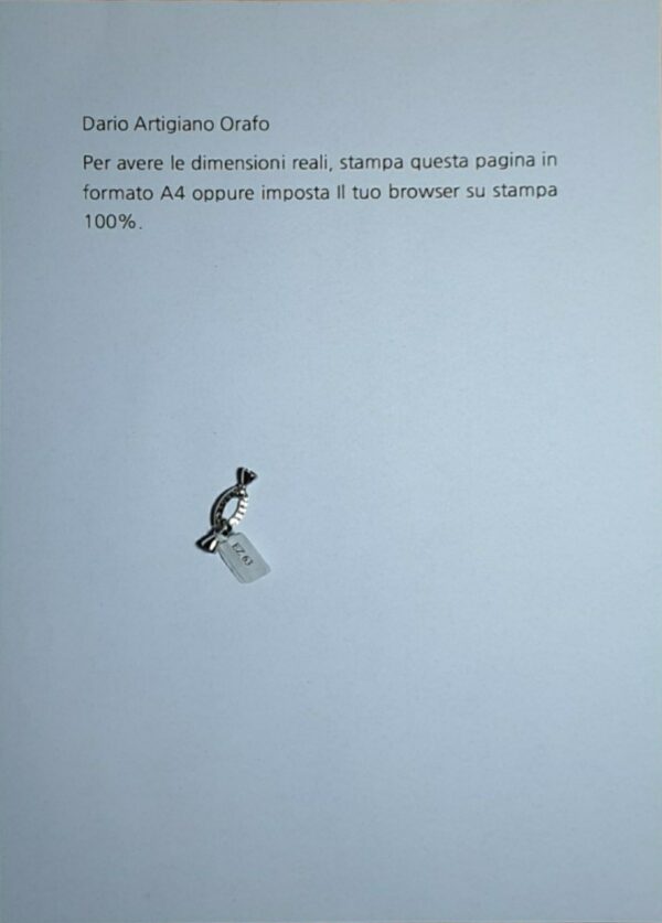 Susta / Chiusura Ez 063 - immagine 4