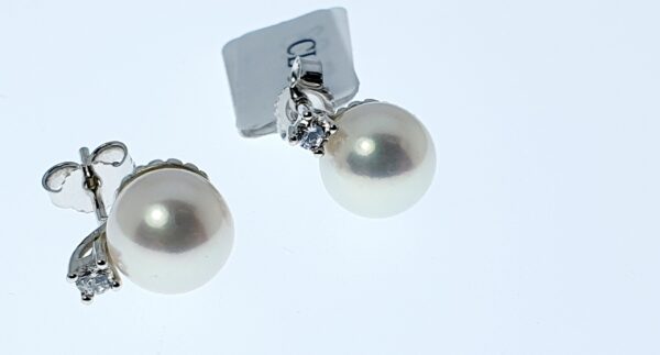 Orecchino Donna CL 088