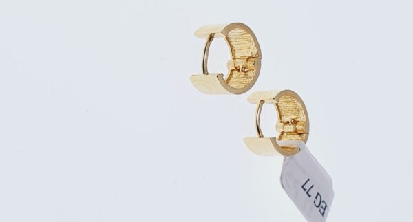 Orecchini a Cerchio EG 077