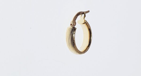 Orecchini a Cerchio EG 027