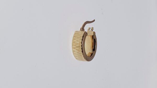 Orecchini a Cerchio EG 079