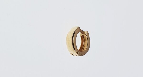 Orecchini a Cerchio EG 136