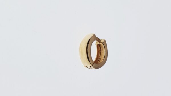 Orecchini a Cerchio EG 136