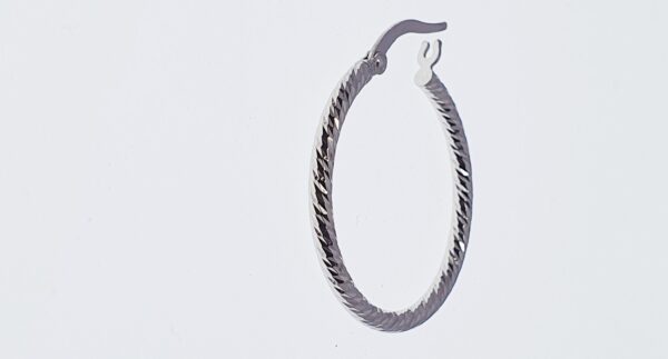 Orecchini a Cerchio EG 181