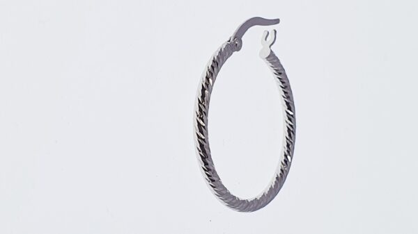 Orecchini a Cerchio EG 181