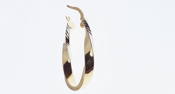 Orecchini a Cerchio EG 041