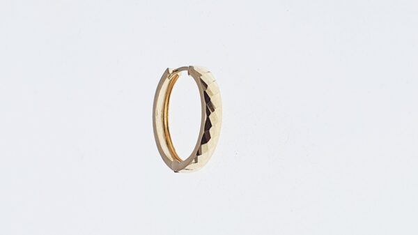Orecchini a Cerchio EG 044