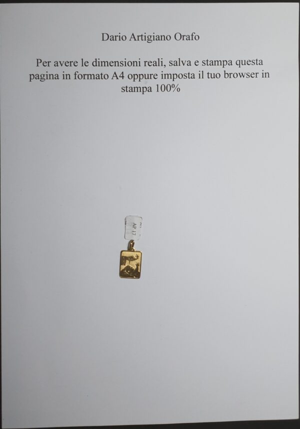 Medaglina AP 017 - immagine 3