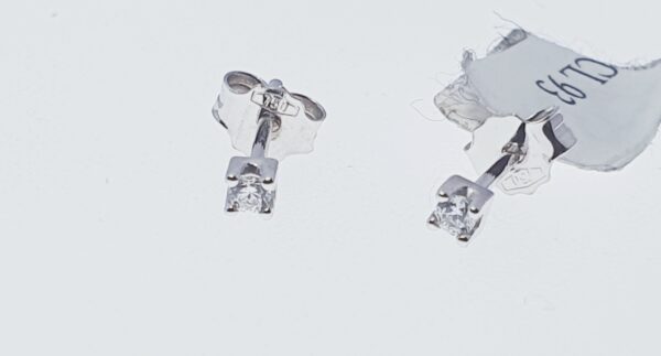 Orecchino Donna CL 093