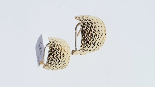 Orecchino Donna CL 179