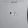 Orecchini a Cerchio EG 016 - immagine 4