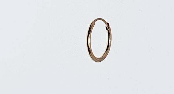Orecchini a Cerchio EG 114