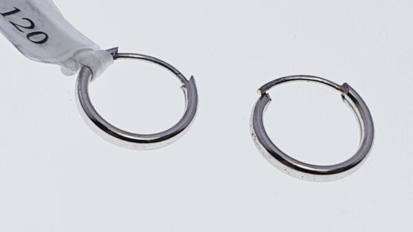 Orecchini a Cerchio EG 120 - immagine 2