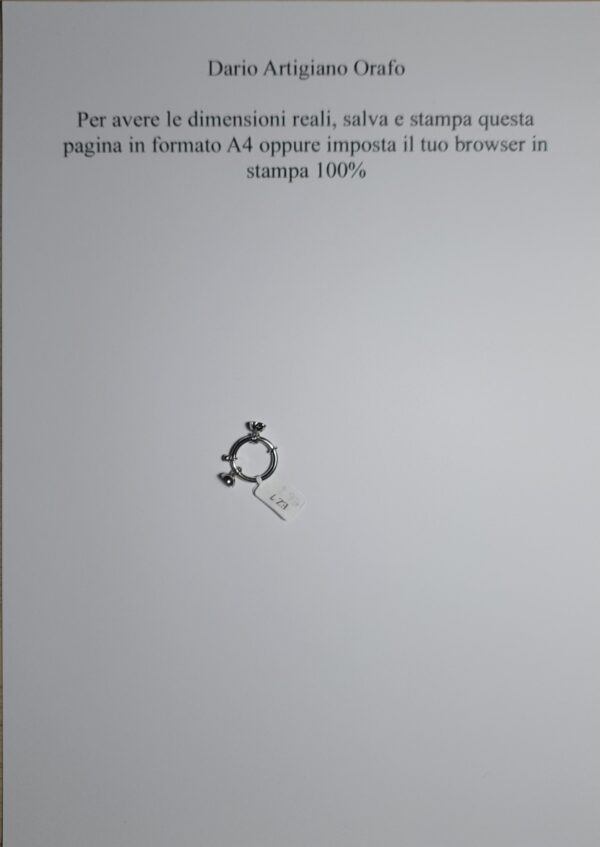 Susta / Chiusura Ez 007 - immagine 4