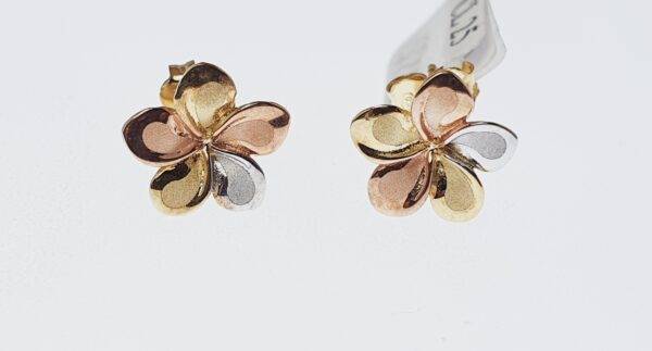 Orecchino Donna CL 025