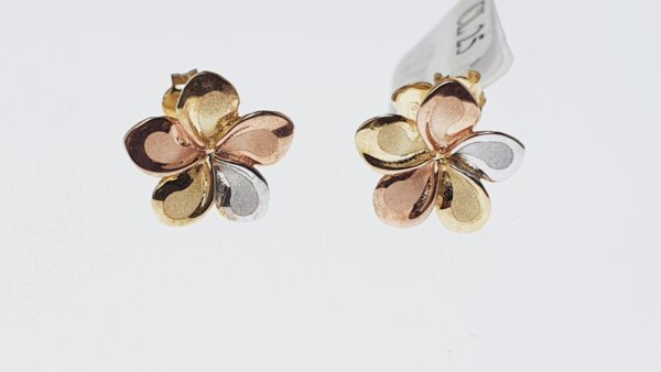 Orecchino Donna CL 025