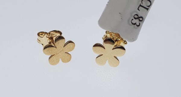 Orecchino Donna CL 083