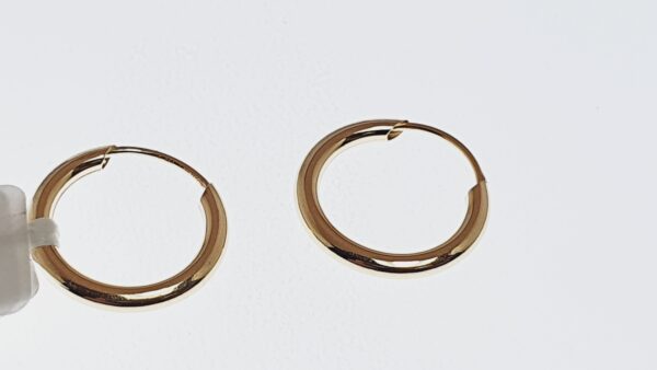 Orecchini a Cerchio EG 092 - immagine 2