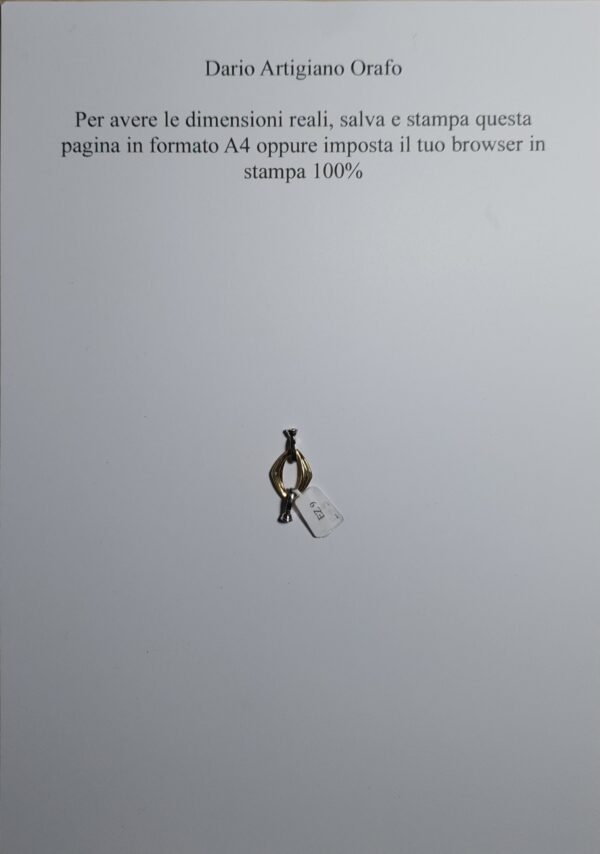 Susta / Chiusura Ez 009 - immagine 4