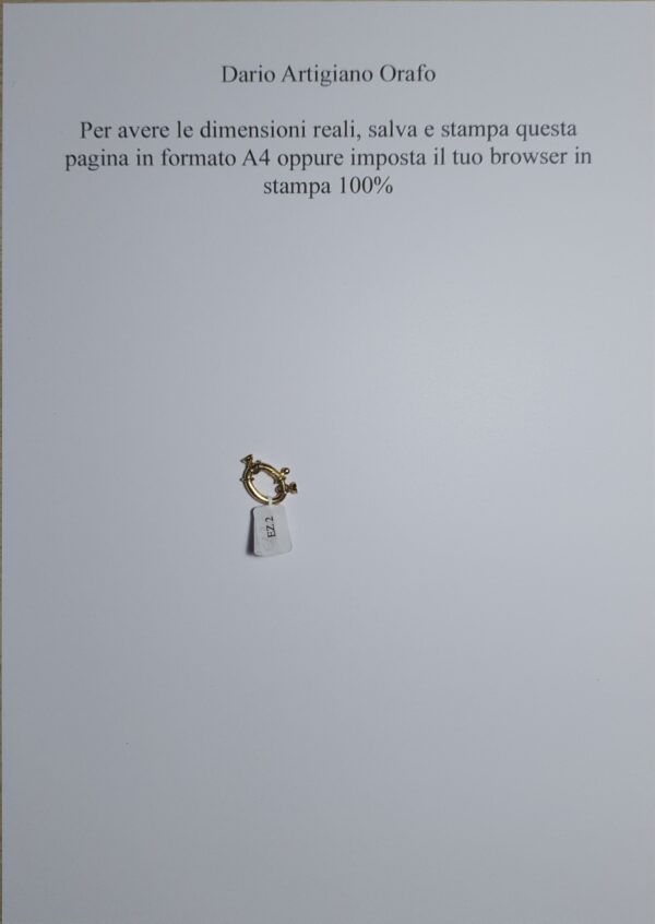 Susta / Chiusura Ez 002 - immagine 4